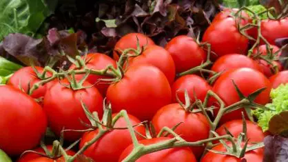 Voedselverspilling tomaten