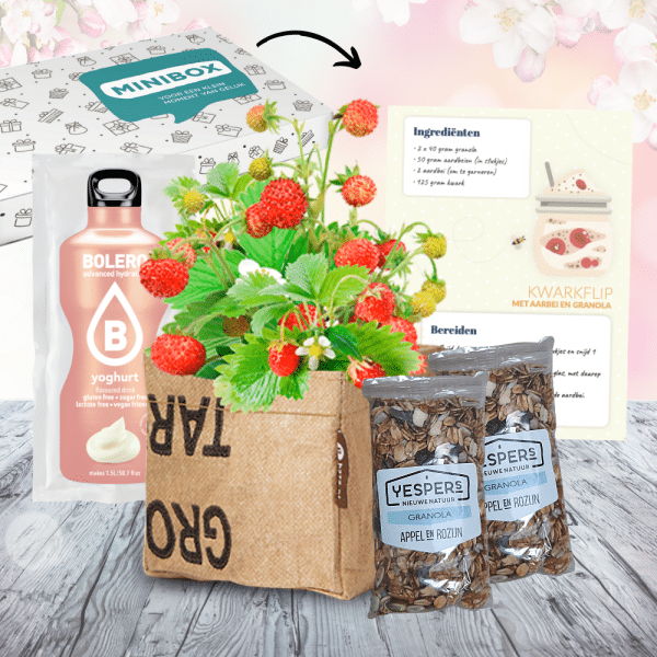 Relatiegeschenk mini granola en fruitbox