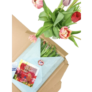 Valentijnsdag geschenk: Bloeiende tulpen