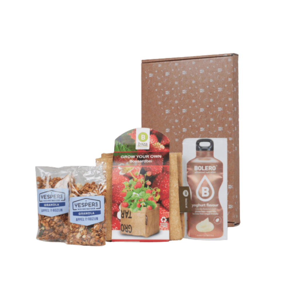 Mini granola-fruitbox