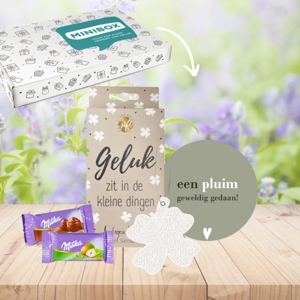 mini-gelukswensbox - More Than Gifts
